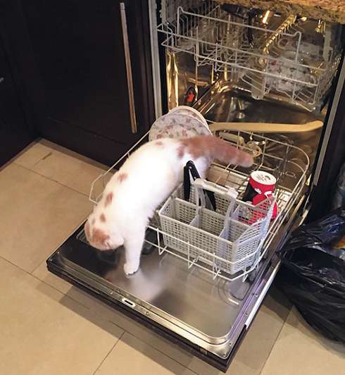 Лера Кудрявцева не скрывает, что восторгается своим питомцем Лера Кудрявцева не скрывает, что восторгается своим питомцем