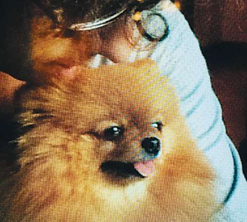 Алла Пугачева называет Марусю артисткой Алла Пугачева называет Марусю артисткой