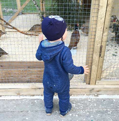 Пятого сентября Темочке исполнился 1 год и 3 месяца Пятого сентября Темочке исполнился 1 год и 3 месяца