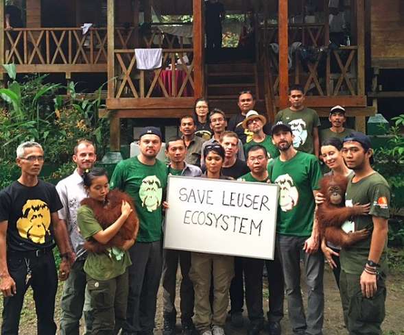 Актер призвал сохранить уникальную экосистему Суматры