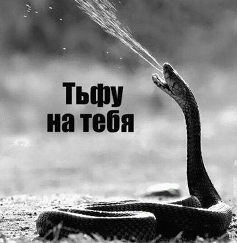 Ксения Бородина решила плюнуть на комментарии, компроментирующие ее мужа Ксения Бородина решила плюнуть на комментарии, компроментирующие ее мужа