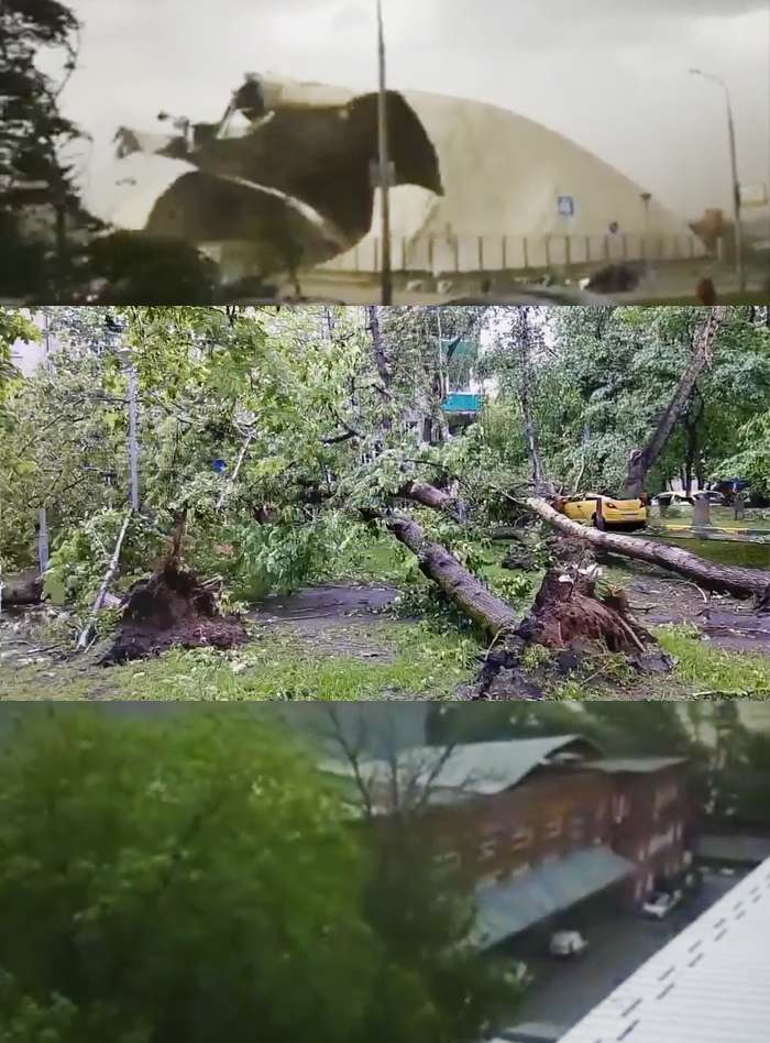 Ураган в Москве выкорчевывал деревья с корнем и срывал крыши зданий