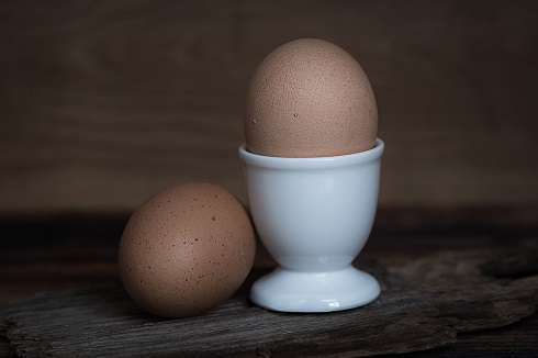 Яйца улучшают работу мозга