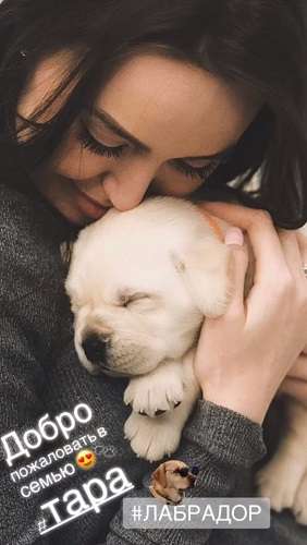 Новый питомец Тарасовых Новый питомец Тарасовых