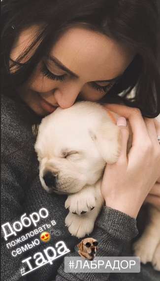АНАСТАСИЯ КОСТЕНКО с новым питомцем АНАСТАСИЯ КОСТЕНКО с новым питомцем