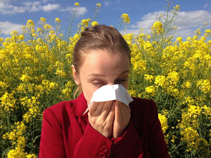 Считается, что аллергию на цветение полностью вылечить нельзя, но облегчить страдания можно