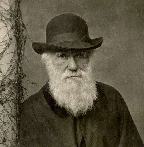 Чарлз Дарвин ел даже насекомых