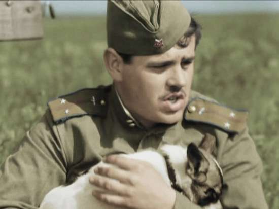 Александр Немченко