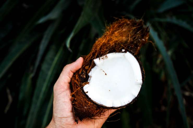кокосовое масло увлажняет волосы