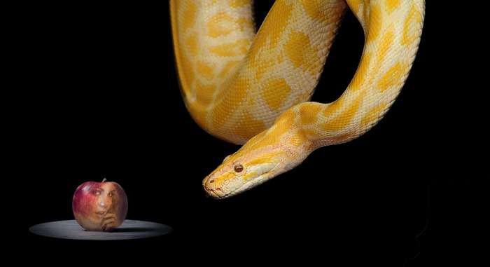 почему змеиный яд так полезен