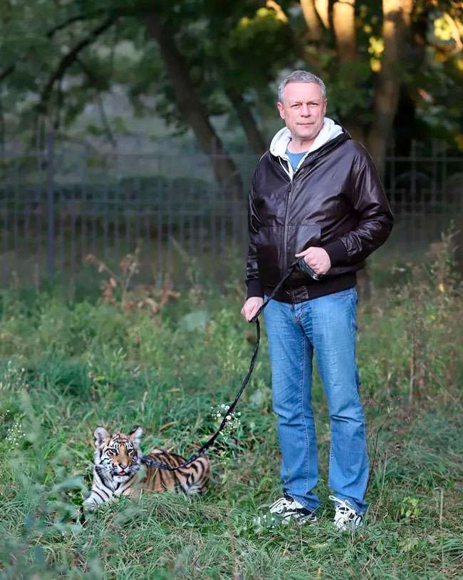Сергей Жигунов с тигром Яшкой