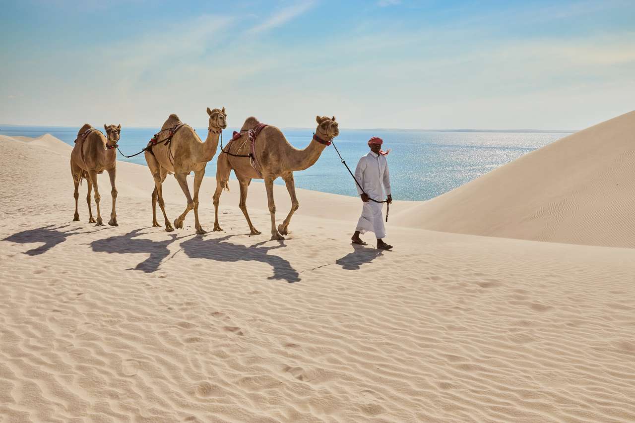 если отправитесь на внутреннее море Хор Аль-Адаид, можно совместить поездку на сафари и пляжный отдых