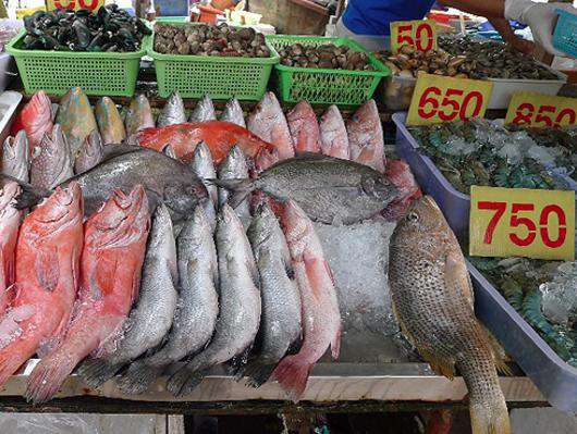 Все, что еще совсем недавно плавало в океане, выложено нестройными рядами на лотки.