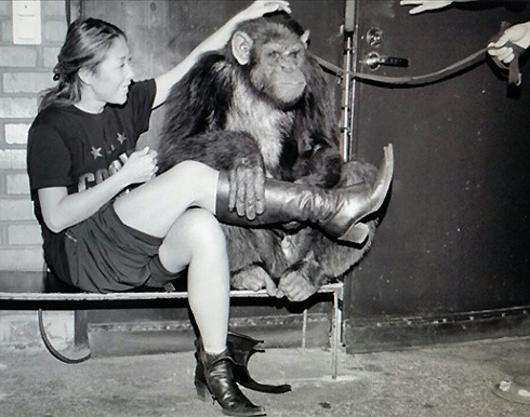 Анита Цой и Бэмби. И их любимая скамеечка, на которой обезьяна изучала молнию на сапогах артистки. Фото: Instaram.com/anitatsoy.
