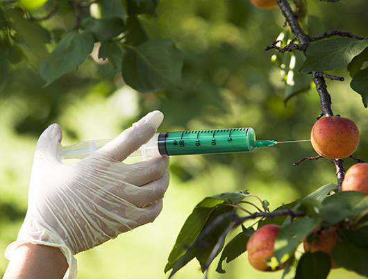 Скоро генномодифицированные продукты перестанут маркироваться. Фото: Fotolia/PhotoXPress.ru.