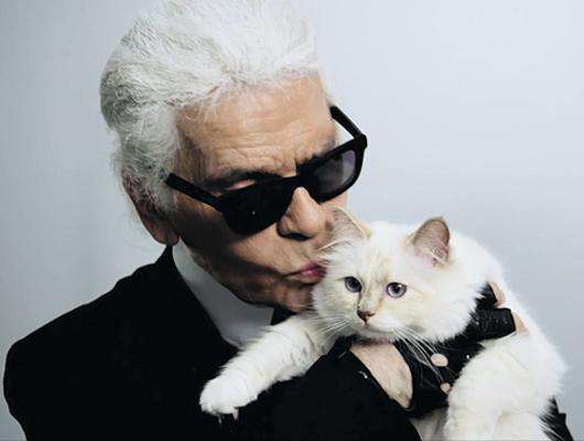 Карл Лагерфельд и его кошка.