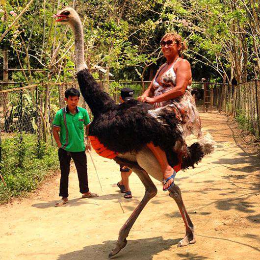 Лариса Копенкина оседлала страуса, чем привела в восторг своих поклонников. Фото: Instagram.com/Larakopenkina.
