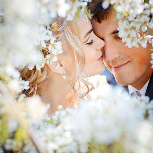 Цветы померанца стали неизменным спутником невест. Фото: Fotolia/PhotoXPress.ru.
