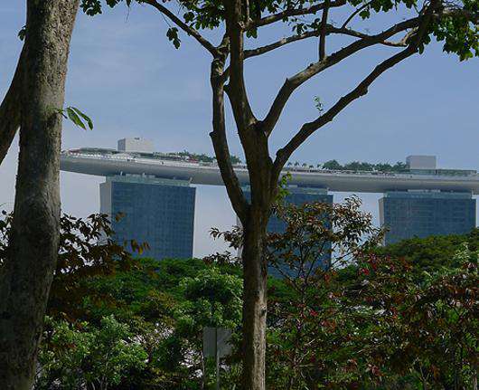 Сингапур буквально утопает в зелени. Сады есть даже на небоскребах!
