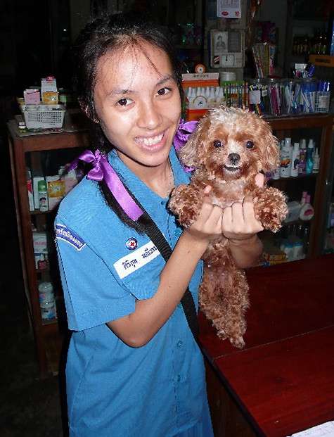 ... И даже местные домашние питомцы отличаются добрым нравом. ... И даже местные домашние питомцы отличаются добрым нравом.