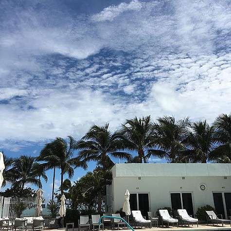 Погода в Майами позволила принимать солнечные ванны. Фото: социальные сети