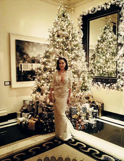 Дита Фон Тиз на фоне новогодней елки. Фото: Instagram.com.