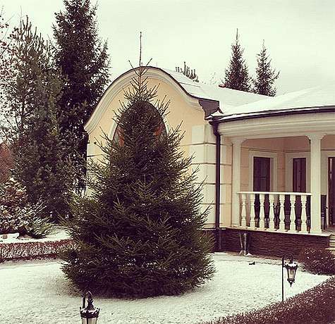 Анастасия Волочкова уже установила новогоднюю елку. Фото: Instagram.com/volochkova_art.