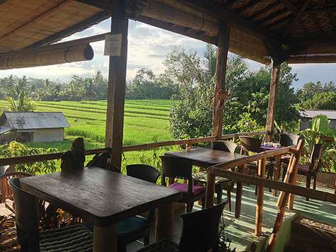 Самые модные кафе в Убуде находятся тоже среди рисовых полей.