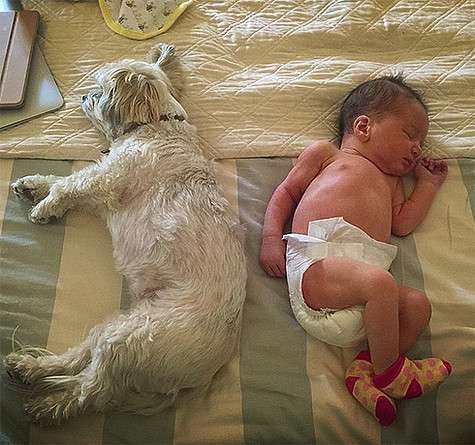 Дэшиел Идан и собака Милы Йовович. Фото: Instagram.com/millajovovich.