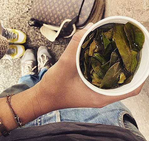 Вот такой стаканчик с листьями коки вручили Собчак и Виторгану в аэропорту, чтобы они быстрее адаптировались к высокогорной местности. Фото: Instagram.com.