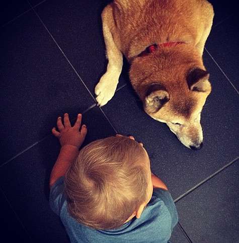 Маленькая Муза и пес Йоши. Фото: Instagram.com/olgashelest.