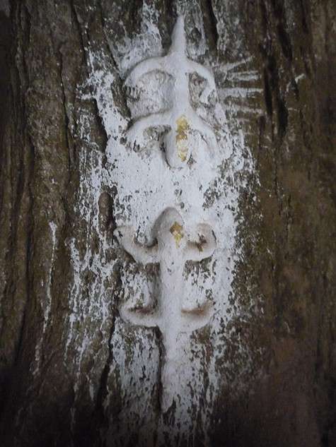 Даже в старинных пещерах можно встретить изображения гекконов.