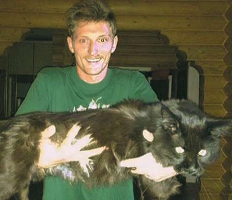 Павел Воля и кот породы мейн-кун по кличке Бумер. Фото: Instagram.com.