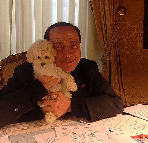 Сильвио Берлускони и ее щенок по кличке Дуду. Фото: Instagram.com/silvioberlusconi2015.
