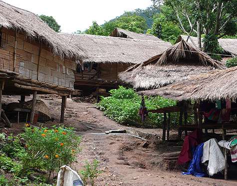 Порой они выглядят очень экзотично... Порой они выглядят очень экзотично...