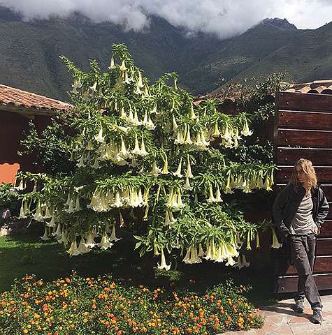 Ксения Собчак в Перу. Фото: Instagram.com.