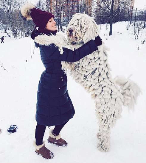 Саша Савельева показала нового питомца