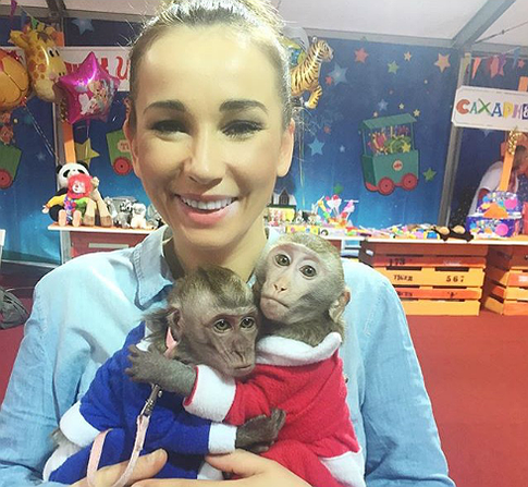 Как угодить символу Нового года