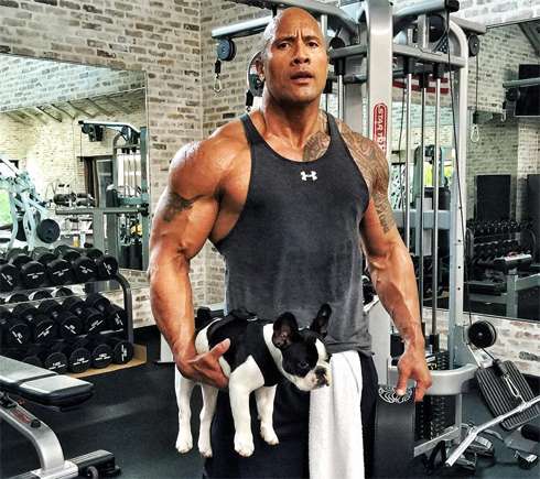 Дуэйн Джонсон