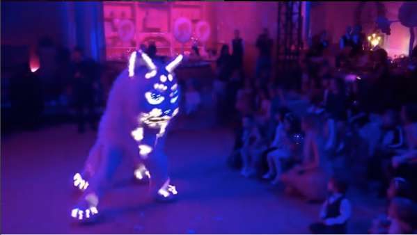 Огромный кот катал именинницу на спине 