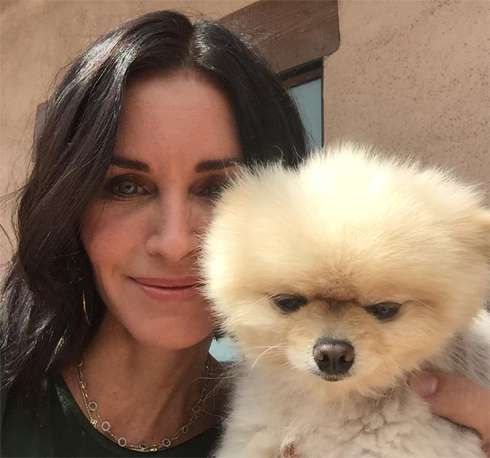 Кортни Кокс