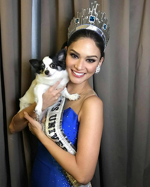 Растоптанная красота: скандалы конкурса «Мисс Вселенная»