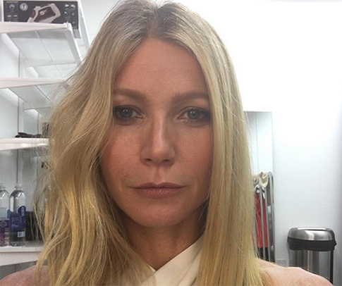 Гвинет Пэлтроу не захотела смотреть порнографию