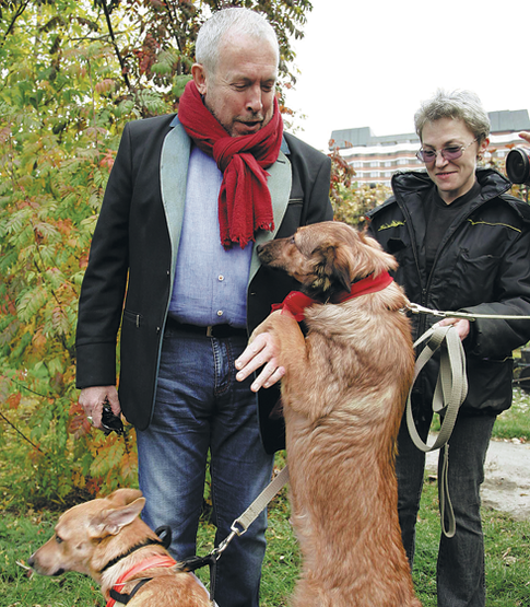 Как звезды помогают бездомным животным