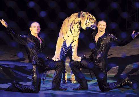 Братья Запашные