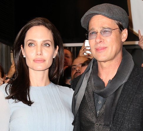 Джоли заставляет Питта сделать анализ ДНК на отцовство?