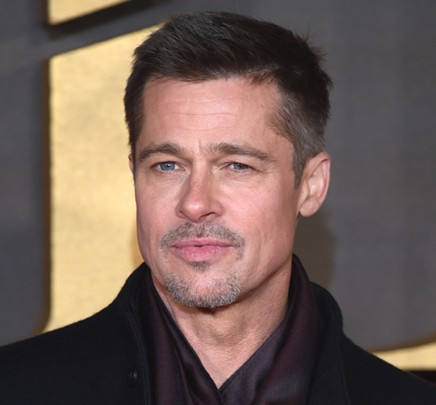 Брэд Питт остался в одиночестве