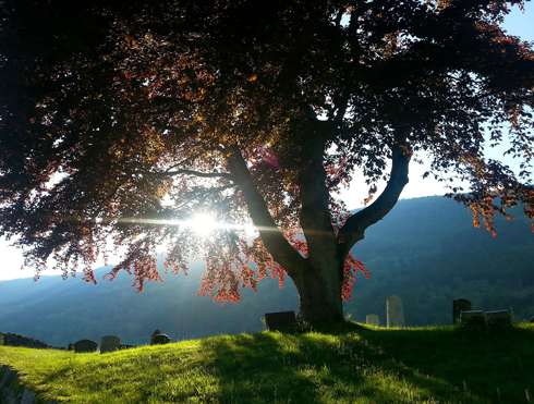 Переживания из-за утраты близкого человека, пожалуй, самые трудные