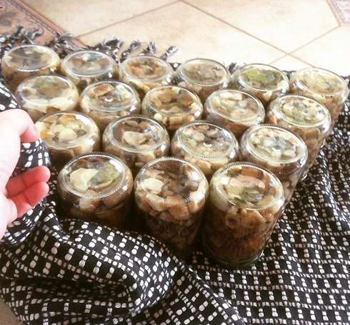 Алексей предпочитает зимой лакомиться грибочками собственной засолки Алексей предпочитает зимой лакомиться грибочками собственной засолки