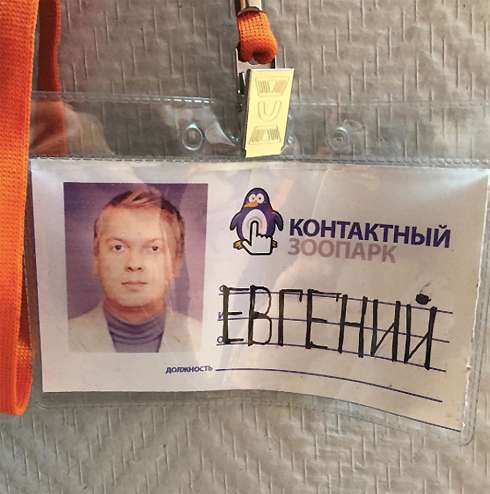 Над фото пропуска поклонники актера посмеялись от души